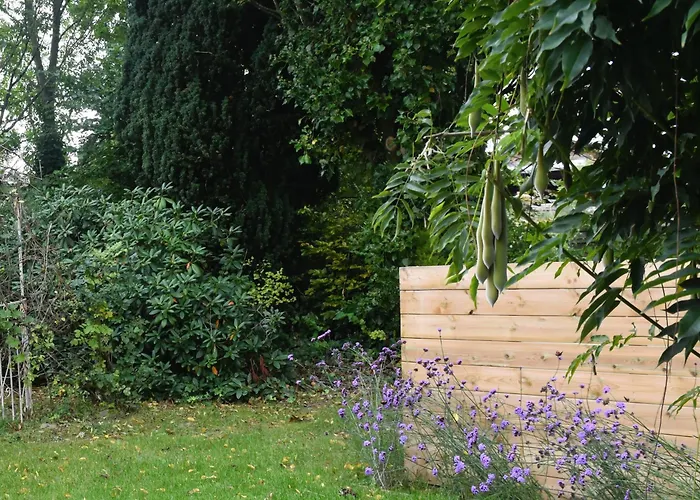 La Petite Maison En Ardenne Hébergement de vacances *